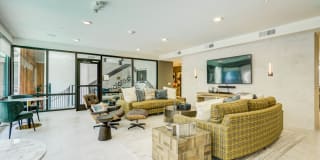Navara Gallery 16