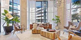 Aster & Links Gallery 32