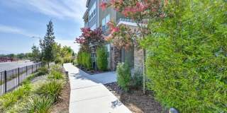 Vela Apartments Gallery 93