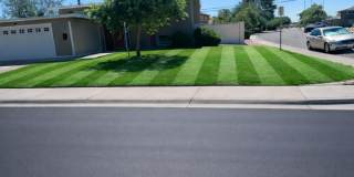 Great home in best ASU student neighborhood around campus Gallery 1