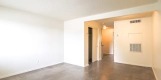 Carol Mary Gallery 4
