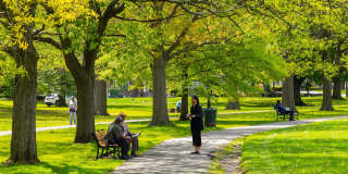 LIA by Vermella Gallery 38