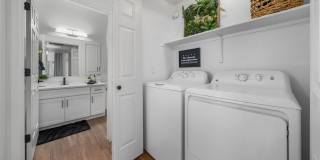 Finisterra on Grove Gallery 16