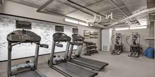 Proxy 333 Gallery 15