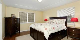 Gorgeous Home in Cul-de-sac that backs Greenbelt Gallery 8