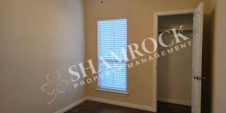 China Spring 4-Bedroom Gallery 15