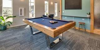 Cypress Gallery 23