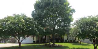 105 Royalty Court Gallery 1
