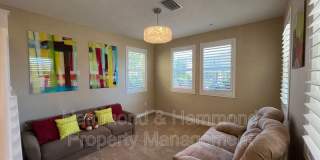 11395 Beechnut St. Gallery 8