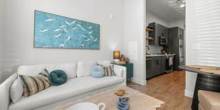 NOVEL Morrisville Gallery 56