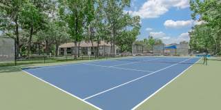 The Julep Gallery 14