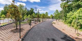 Sugarloaf Walk Gallery 27