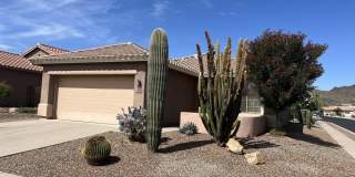 9421 N Wishing Star Drive Gallery 4