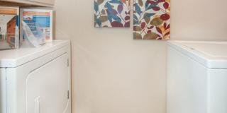 Ashley Oaks Apartments Gallery 5