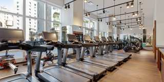 19 Dutch 19 Dutch Gallery 27