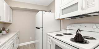 Welcome to Pinedale Apartments – Affordable Living in the Heart of Sumter! Gallery 49