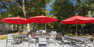 Arrive Sonoma Ridge Gallery 15