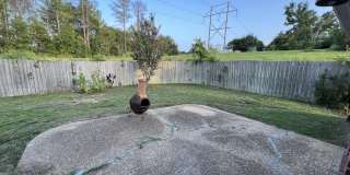 1013 Carlyle Cv Gallery 29