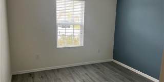 8187 Gopher Tortoise Trail Gallery 9