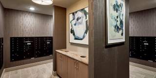 Camden Carolinian Gallery 37