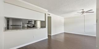 3102 W HORATIO STREET Gallery 8