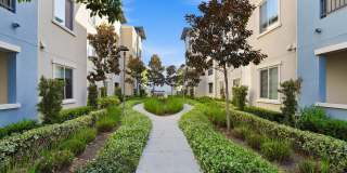 Palomar Station Gallery 29