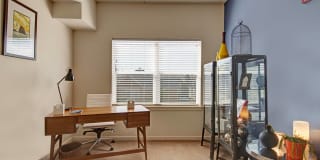 Element 170 Gallery 20