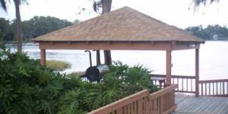 Condo 1 bedroom 1 bath Gallery 1