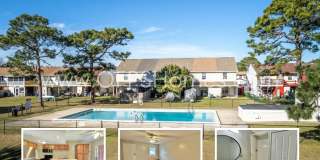 AVAILABLE NOW! Gallery 1