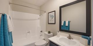 2900 Lux Apartment Homes Gallery 8