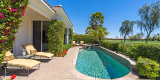 79365 Mandarina Gallery 50