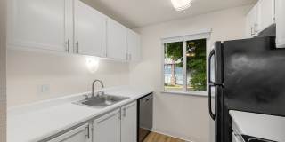 ReNew Dash Point Gallery 26