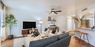 La Privada Gallery 2