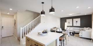 911 Cadence View Way Gallery 5