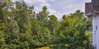 Jefferson Arbors at Broadlands Gallery 32