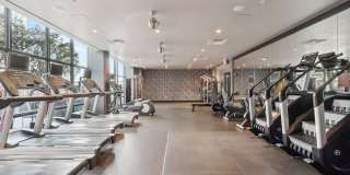 Arrive Wheaton Gallery 9