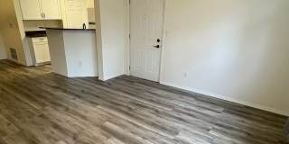 2 Bed, 2 bath in Quiet Community. New HVAC, New Flooring. Community pool and clubhouse access. MOVE IN INCENTIVES! Gallery 31