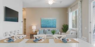 Sienna at South Mountain Gallery 20