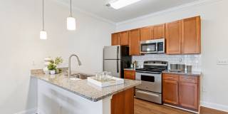 Encore North Gallery 1