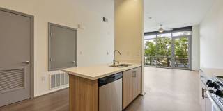 Olea Gallery 9