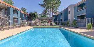 Gilbert Greens Gallery 1