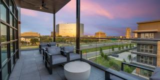 The Storey Gallery 19