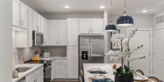 Solis Buffaloe Gallery 2