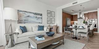 Veneto Las Olas Gallery 21