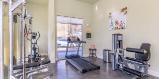 Franklin Place Gallery 19