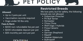 Charming 3-Bedroom Home in Canton, OH Gallery 11