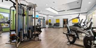 Olympus Fenwick Gallery 27