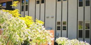 Camelback South Apartments Gallery 16