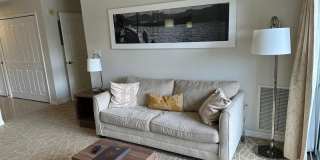Condo-Hotel 1 Bedroom - International Dr area Condo-Hotel 1 Bedroom - International Dr area Gallery 5
