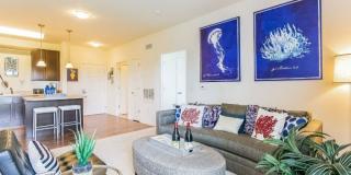 Abbey Lane Gallery 22